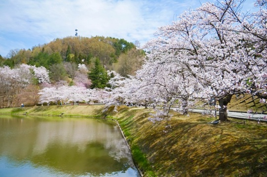 堂ノ前公園