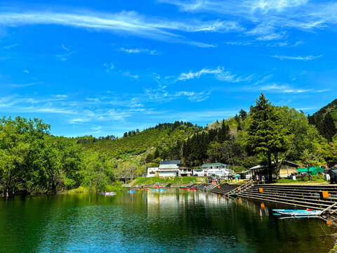 白川湖水没林