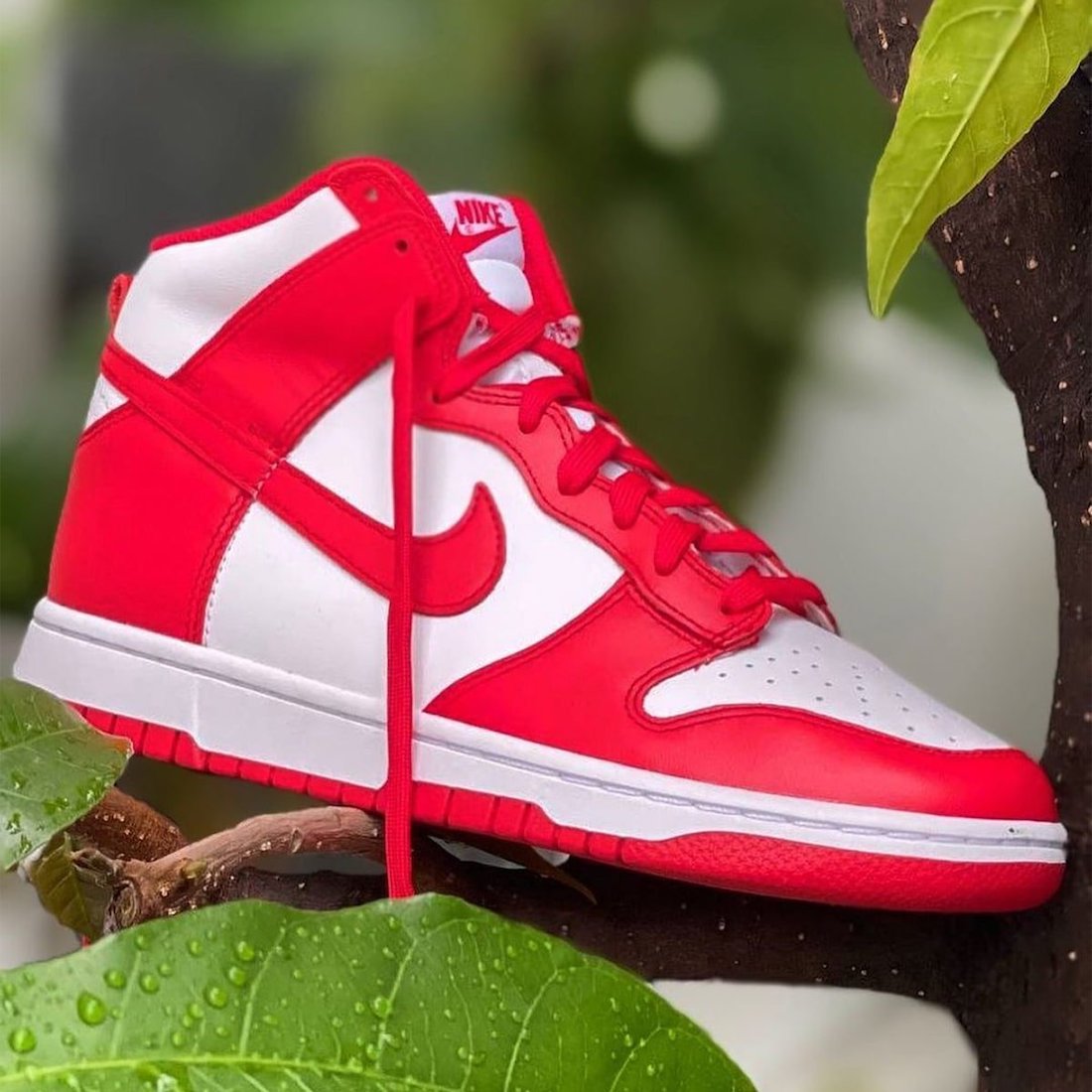 nike dunk high sneaker