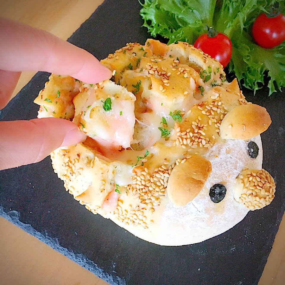 秋のハリネズミ総選挙！！あなたはどの子がお気に入り？！エントリー13選