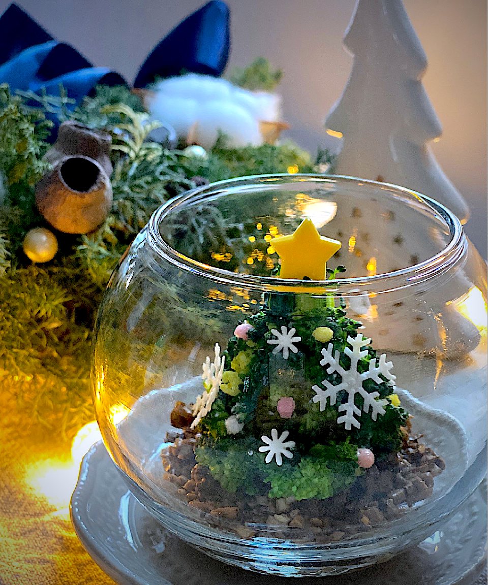 今から間に合う！クリスマスの強い味方！ブロッコリーひとつでクリスマスパーティー