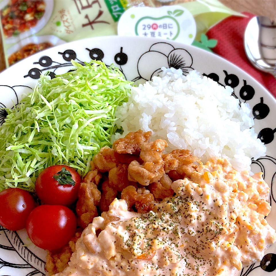 【肉の日に大豆ミートプロジェクト】第1期アンバサダーの美味しくってヘルシーな料理まとめ10選♪