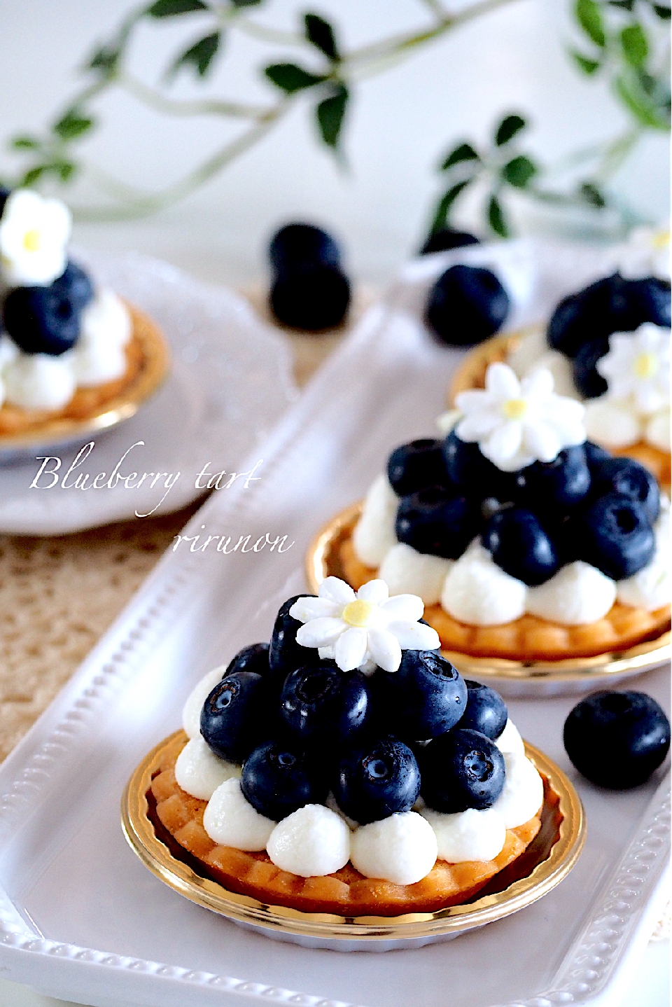 ブルーベリーたくさん採れました♪