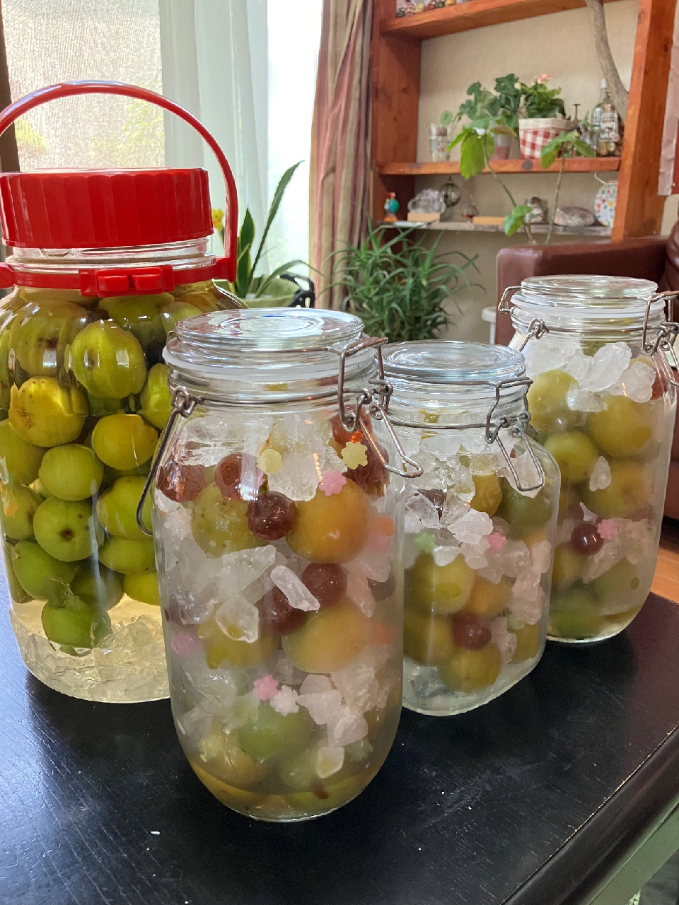 梅仕事アレンジいろいろ♡