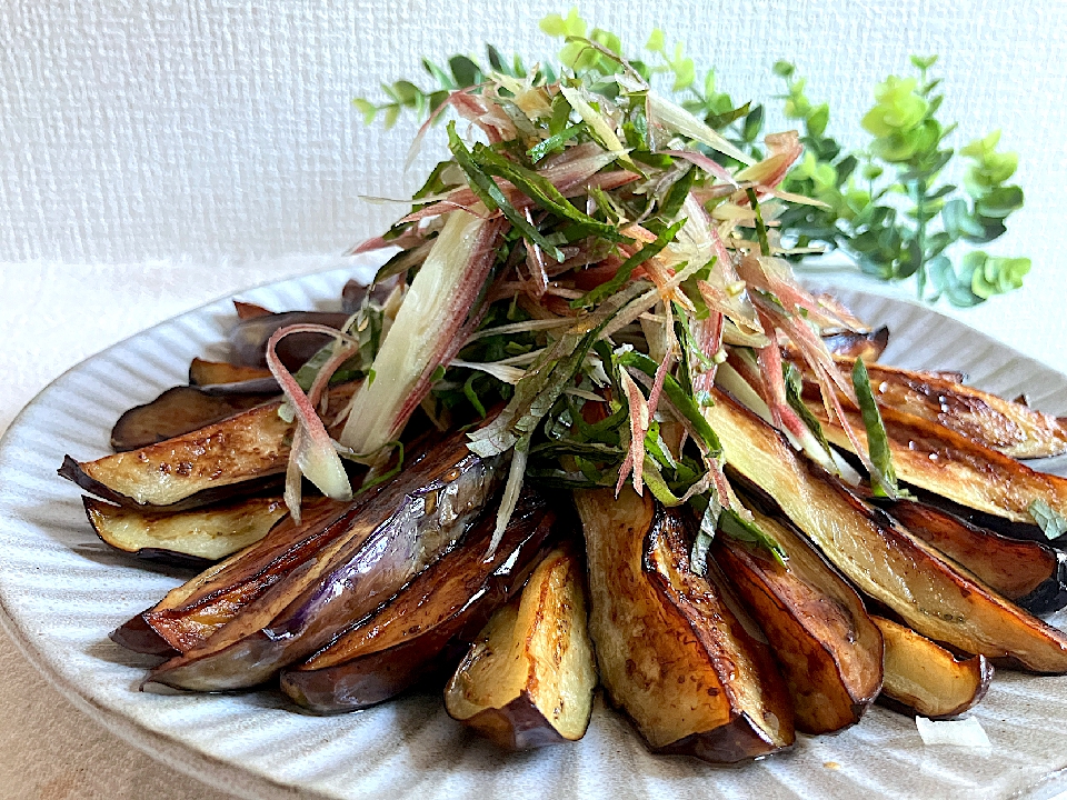 さっぱりナス大作戦！！