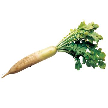 大根