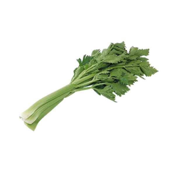 セロリ