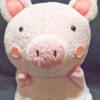 komatu nobuhiko