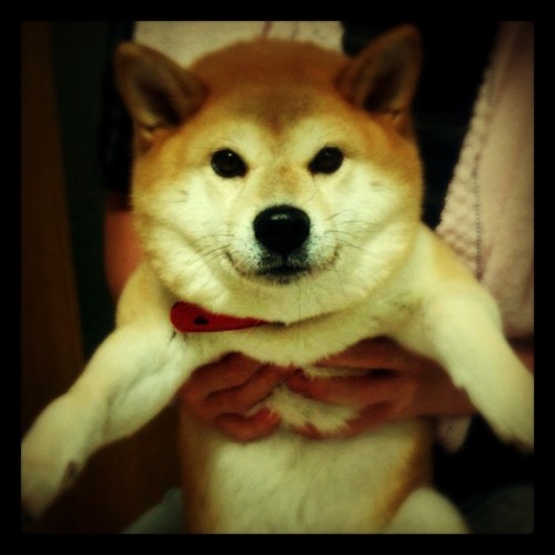 ゆりか