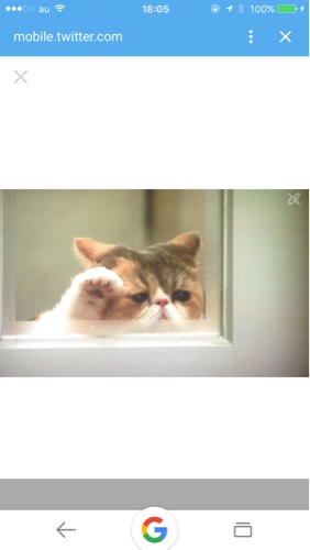 ちいこ