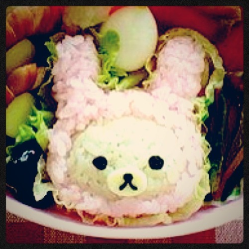 Rice Bunny