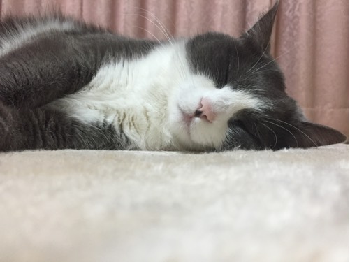 信太郎
