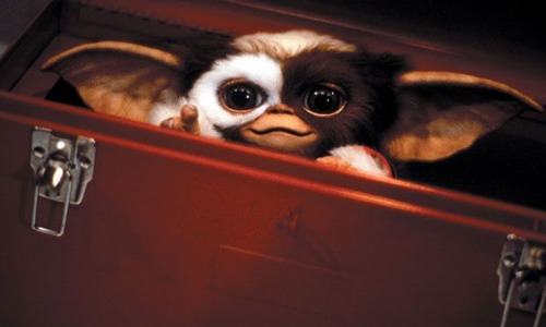 mogwai