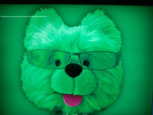 Shiga.Kenchoshozaichi