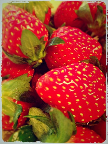 nikahika 初心者です(o^^o)