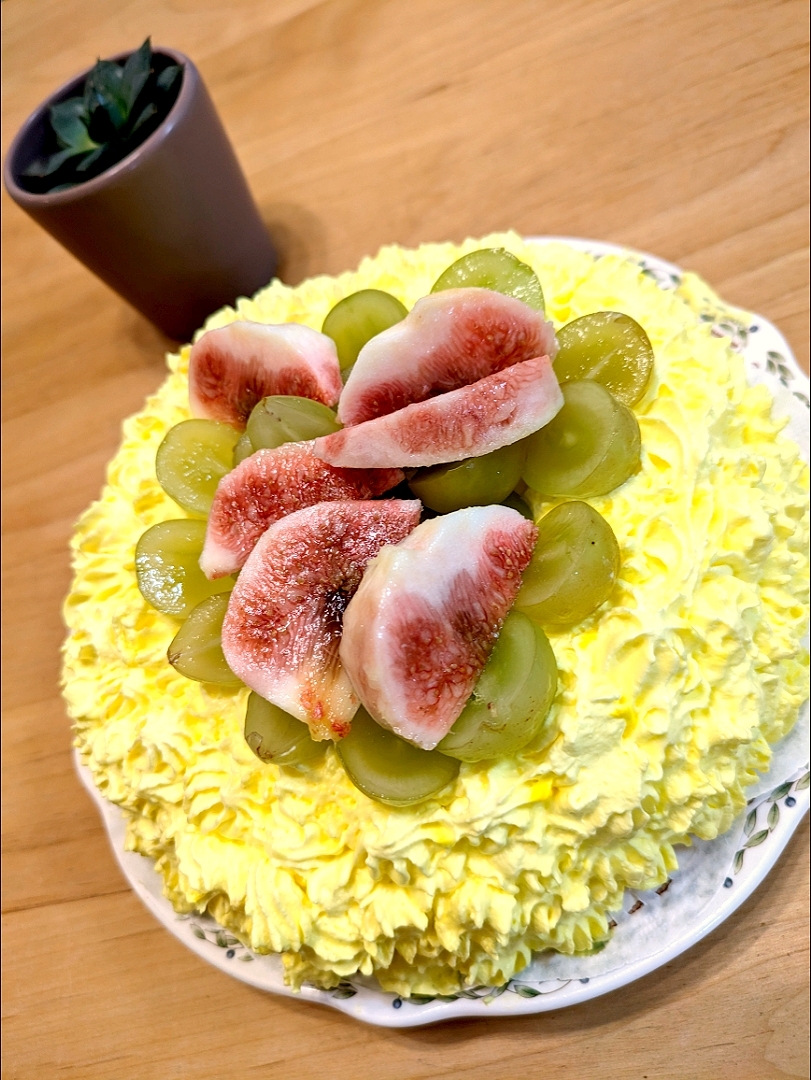 M子⁽⁽ ◟(∗ ˊωˋ ∗)◞ ⁾⁾