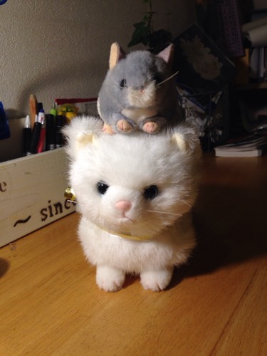 のんぷ
