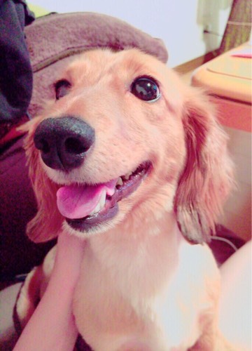 きき