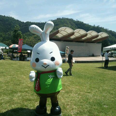 キム姉