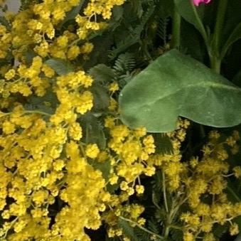 チーのベーカリーチャンネル