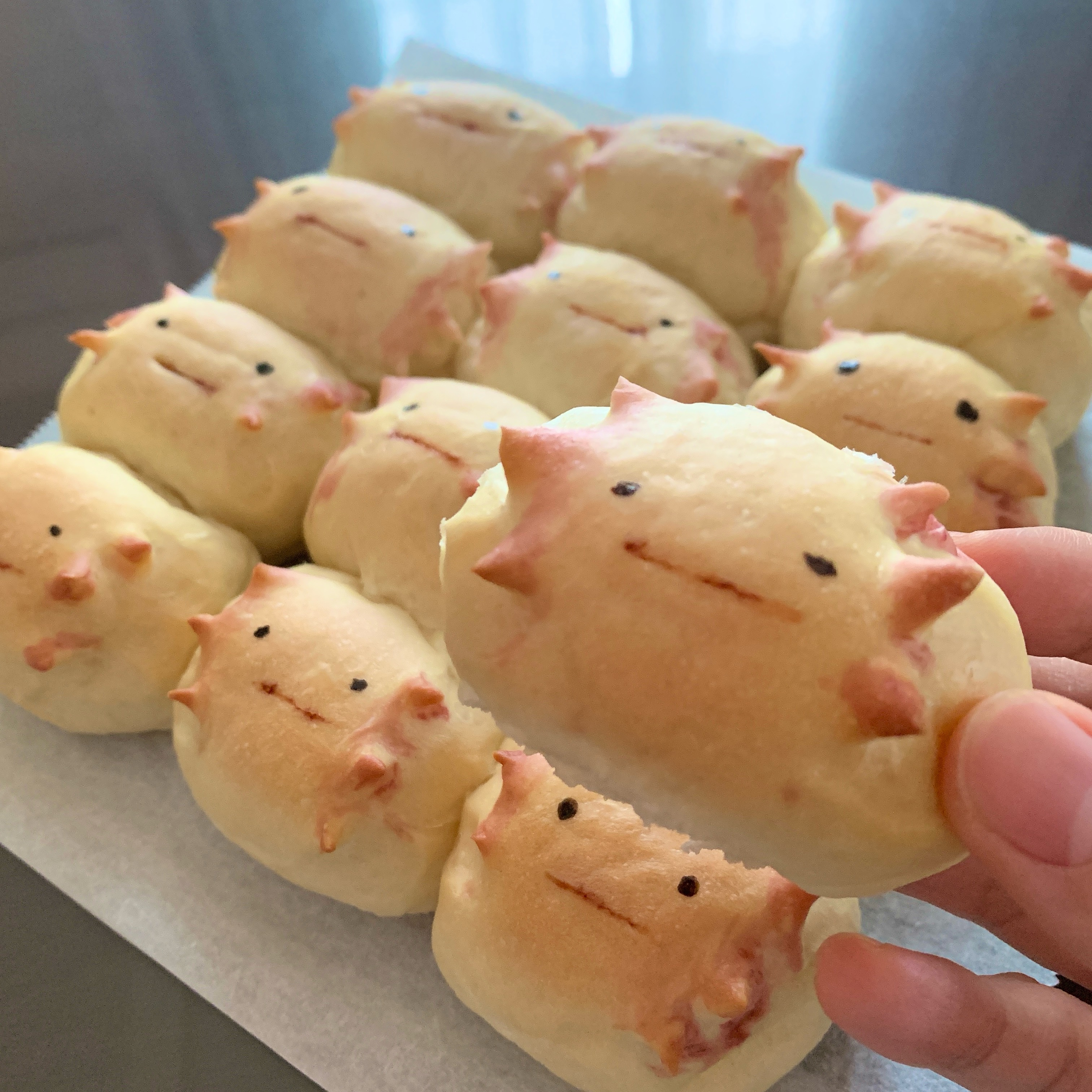 あやめもちもち