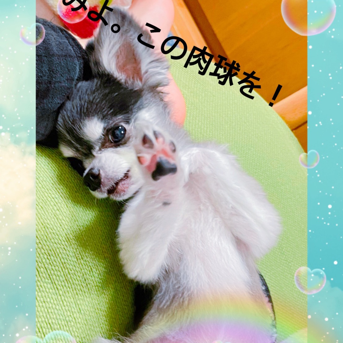 母ちゃん