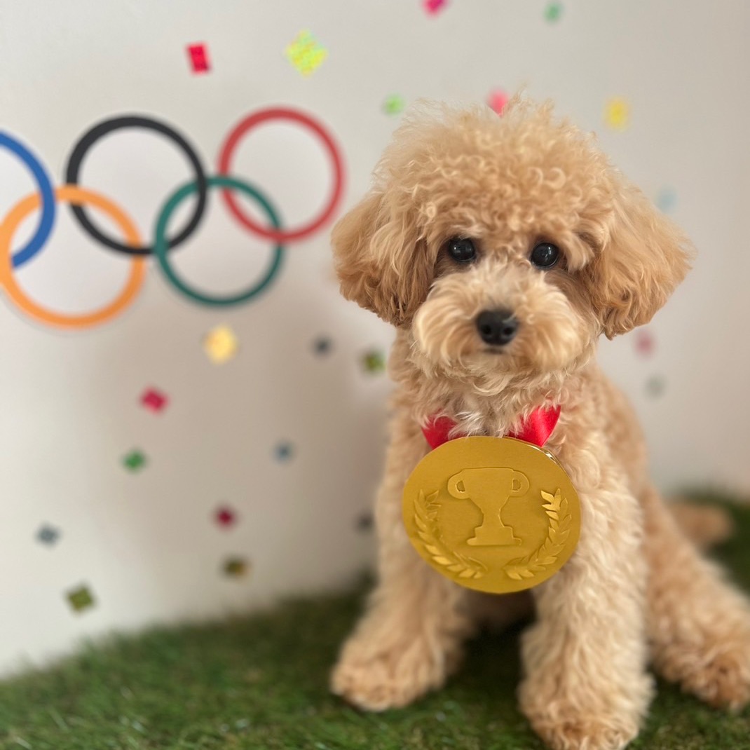 30代パパ　初めての料理記録です