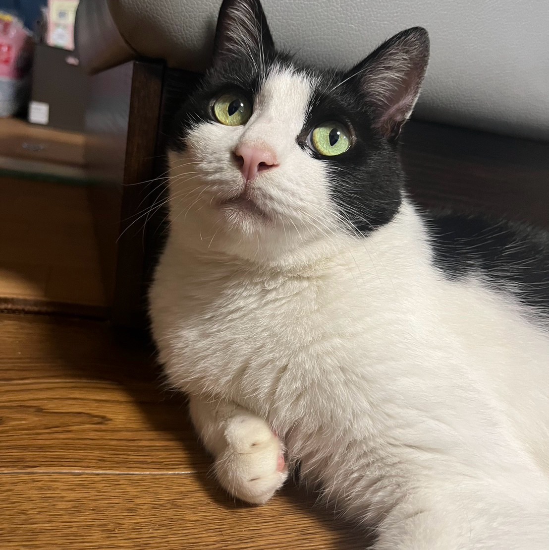るみ