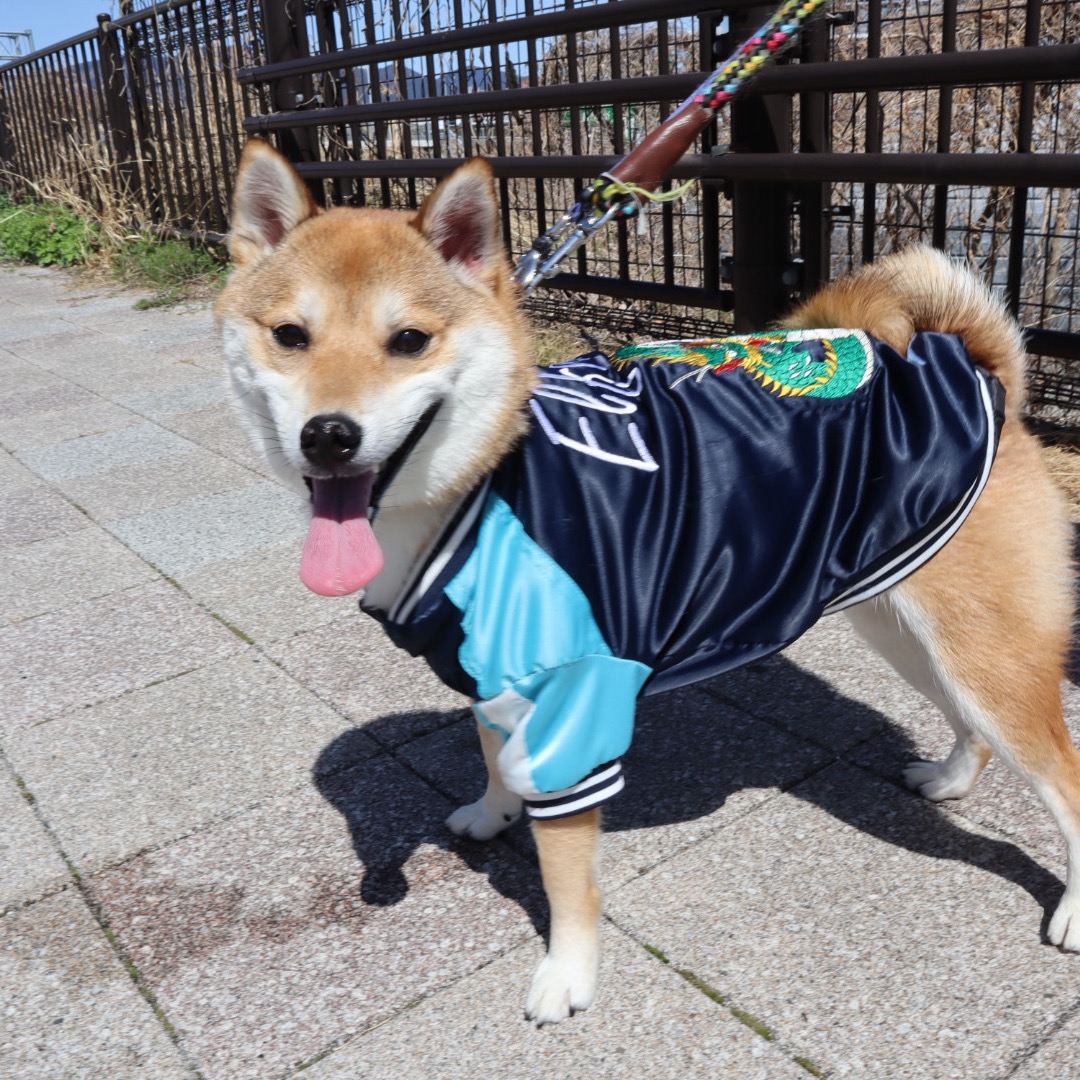 ゆう