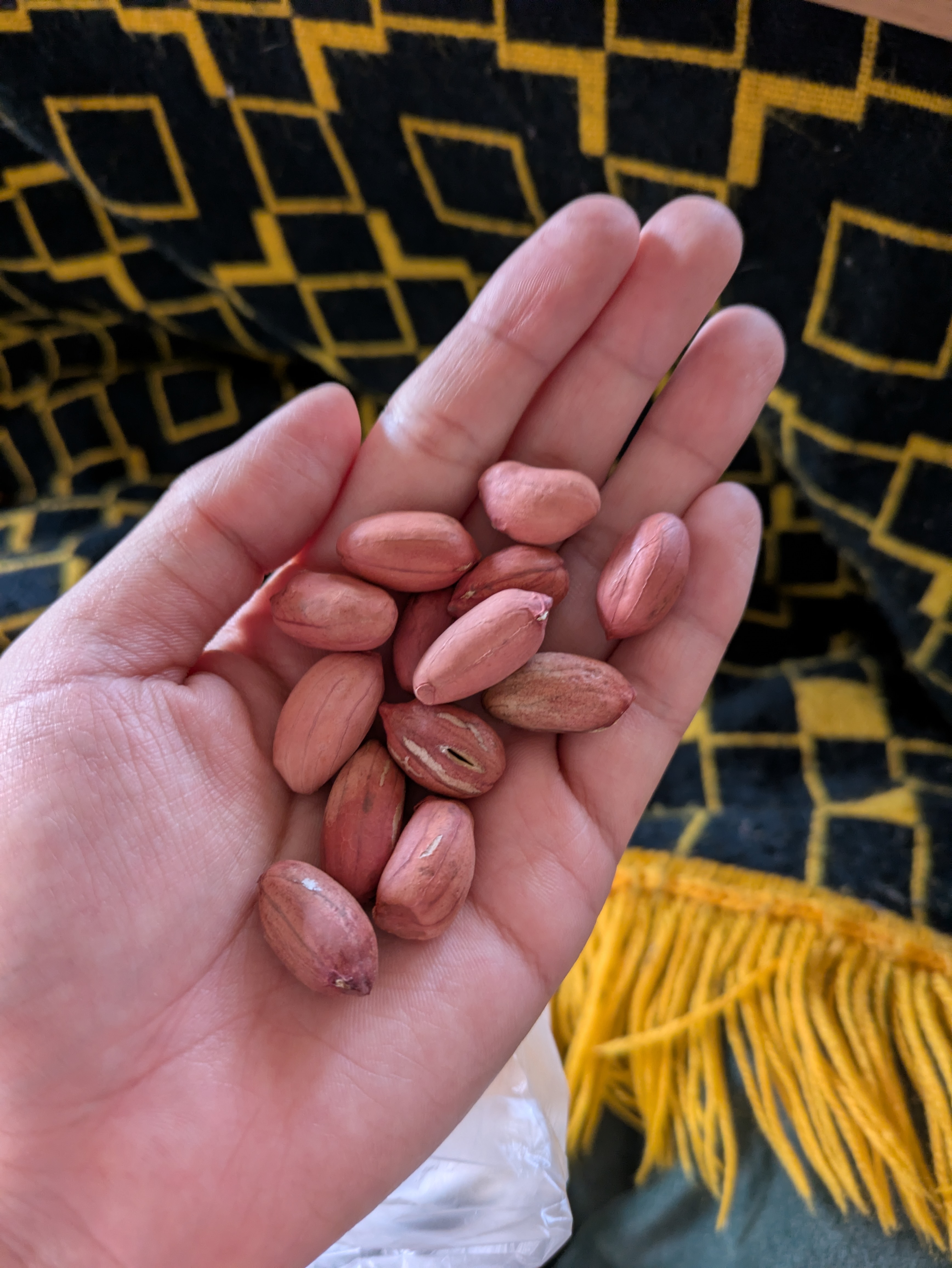 調理員の自炊飯