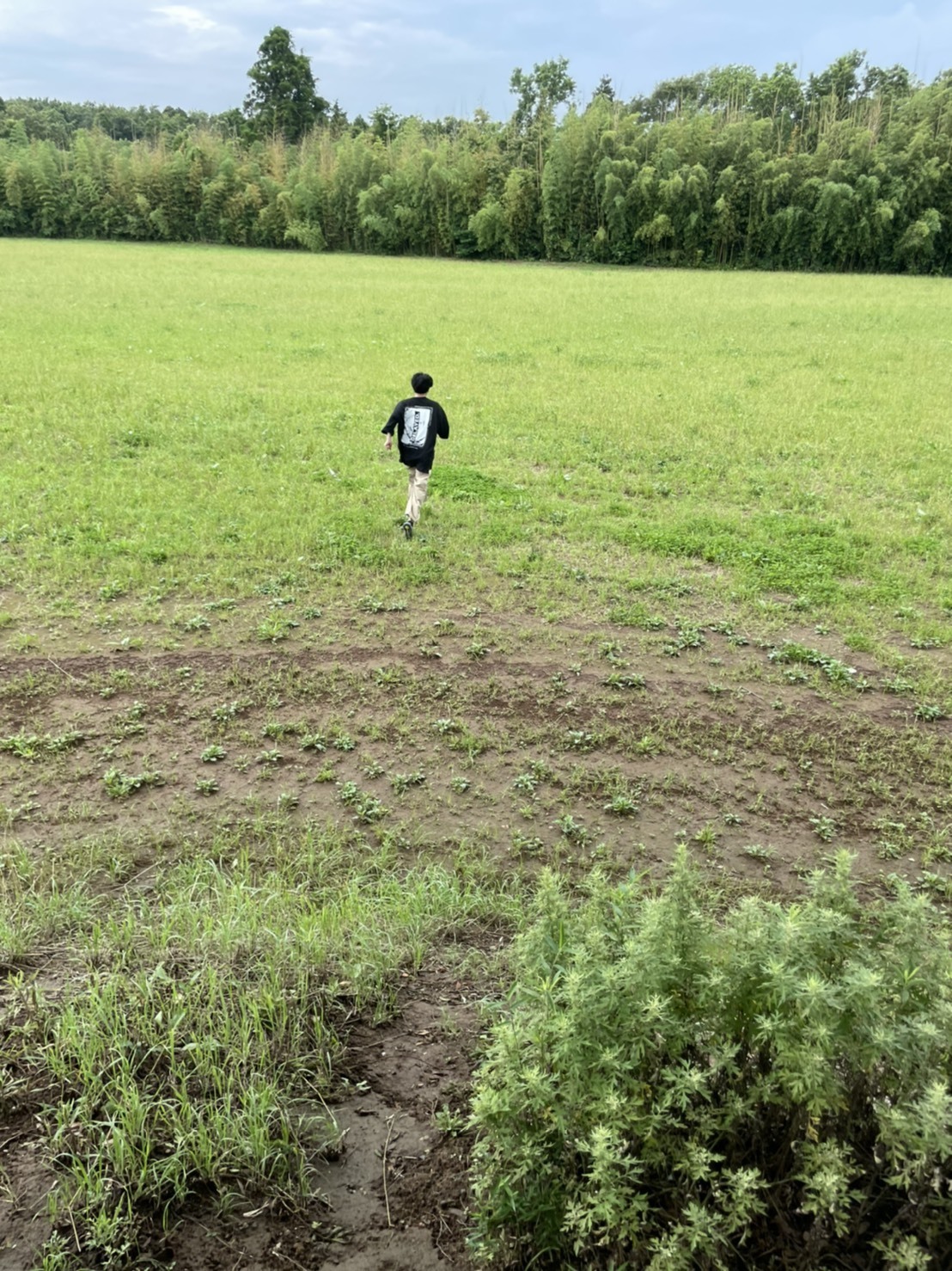 夢のステージ