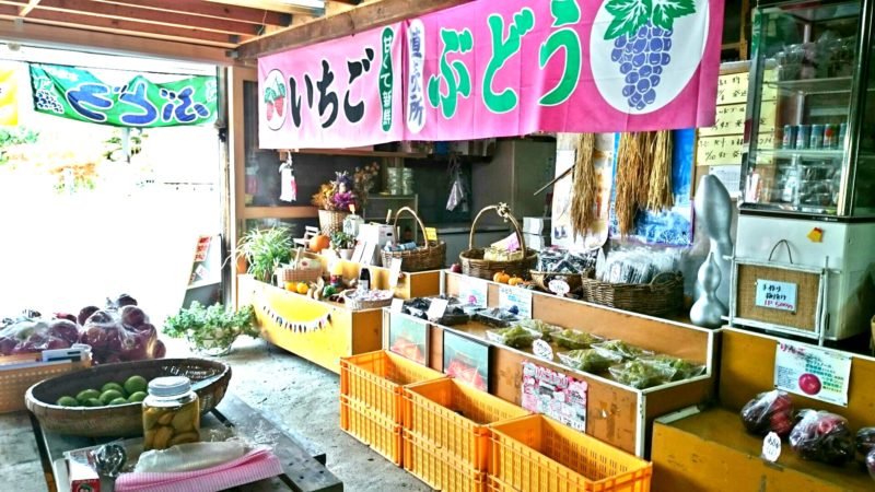 阿野観光果樹園 洞爺湖周辺果樹園一覧 北海道壮瞥町そうべつ観光協会