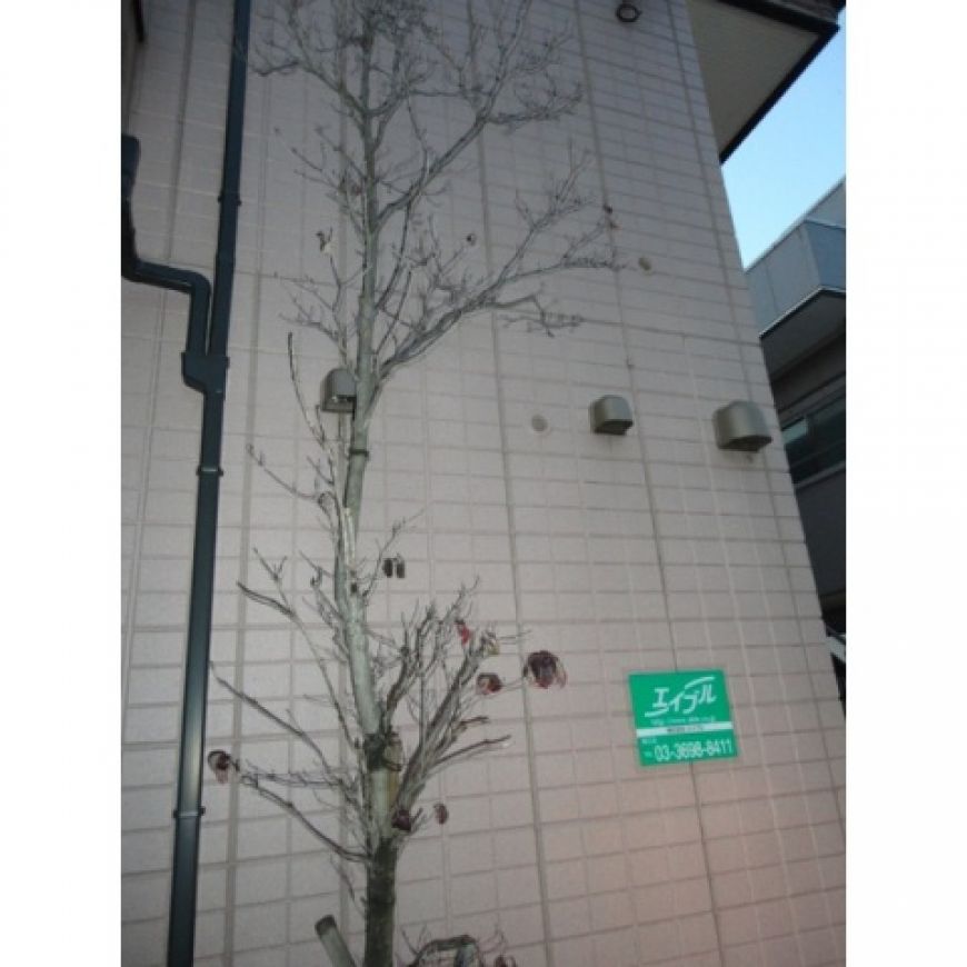 建物写真