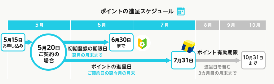申し込み日の翌々月の末日にTポイントが付与される