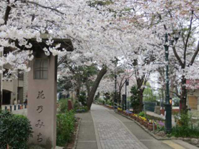 宝塚花のみち法律事務所_サブ2