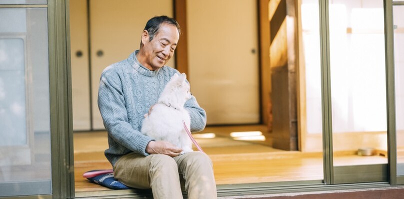 自分が死んだらペットは相続の対象になる？生前にしておくべき対策5つ