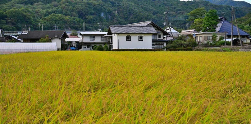 田舎の土地を相続放棄したい！具体的な手続きの流れとポイントについて詳しく解説