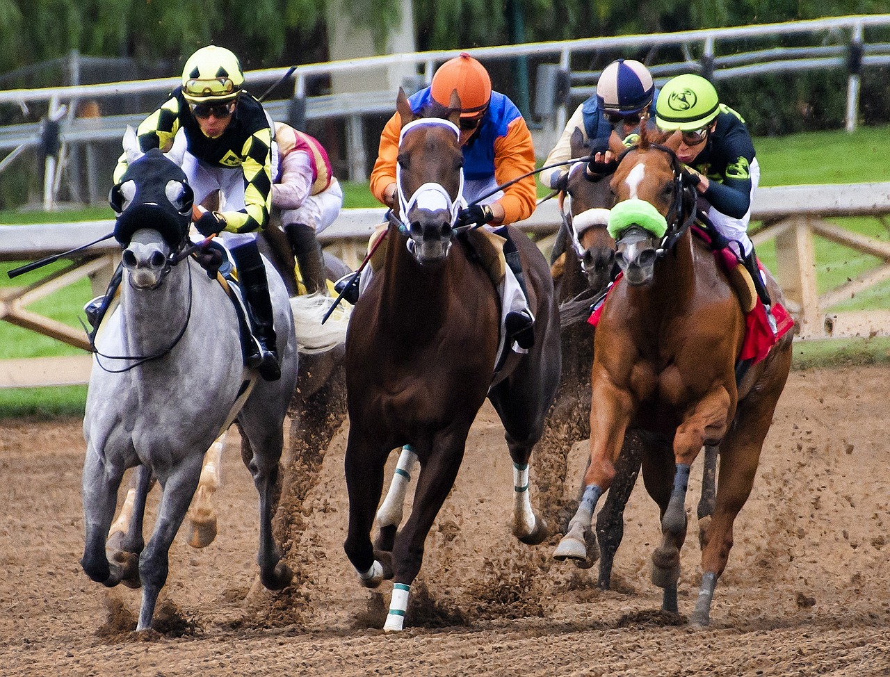 Sports spoit eyecatch horse racing rule