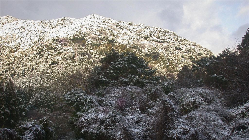 だれもいない山は腐葉土にあふれている
