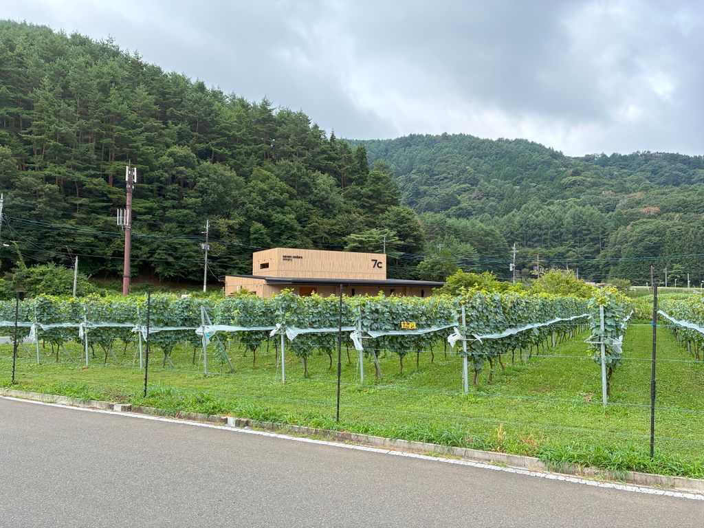 山梨ブドウ狩り旅行で一杯　～前編～