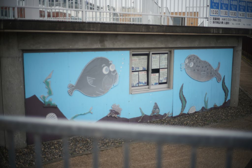 DSC07978.JPG