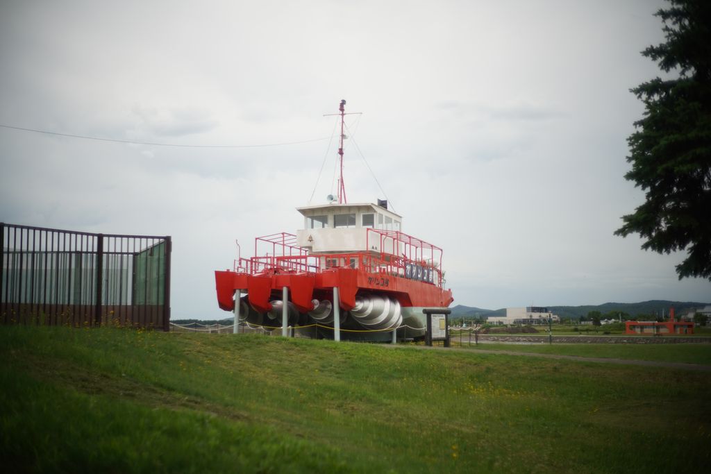 DSC07998.JPG