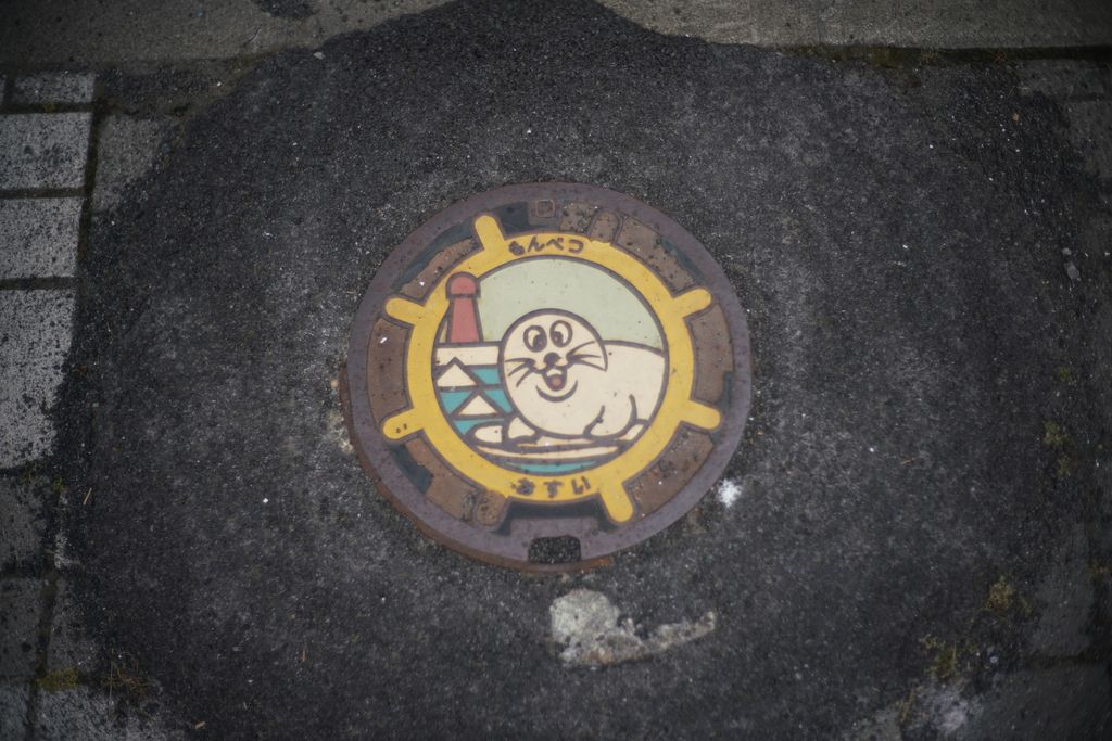 DSC07999.JPG