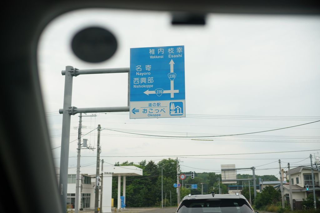 DSC08018.JPG