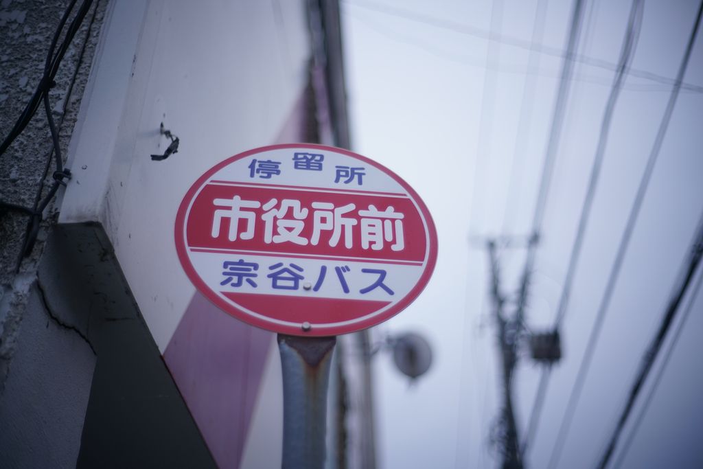 DSC08043.JPG