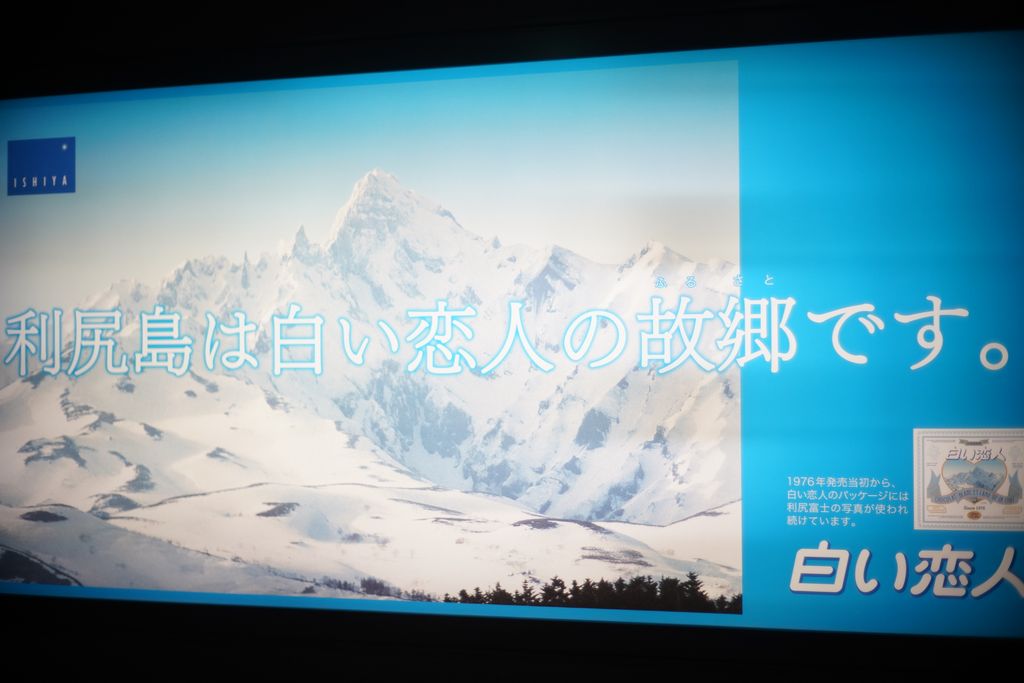 DSC08068.JPG