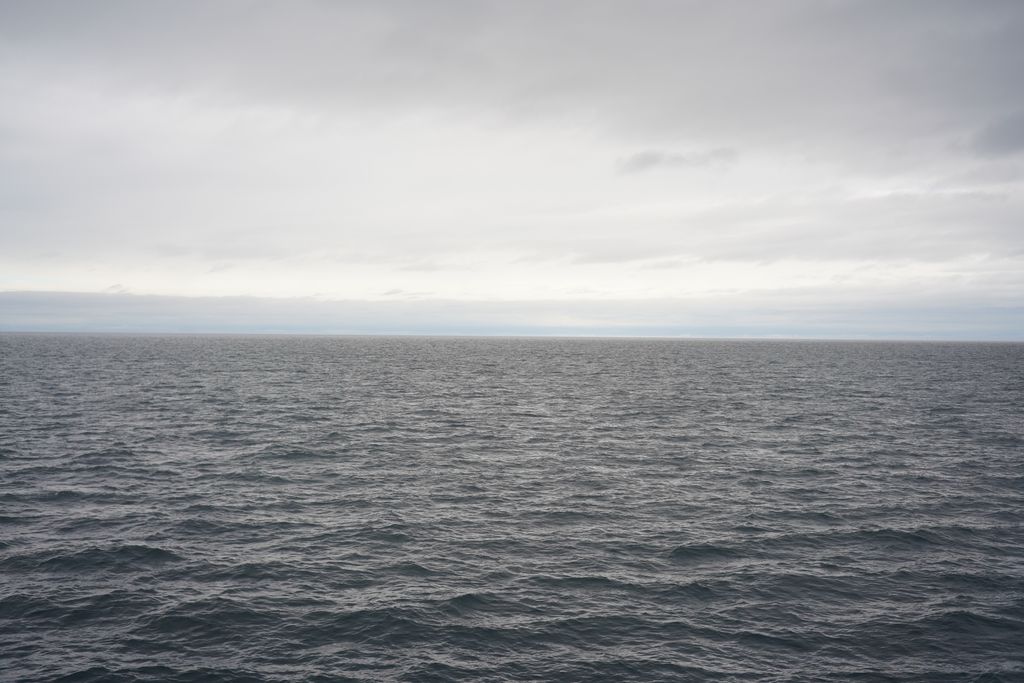 DSC08093.JPG