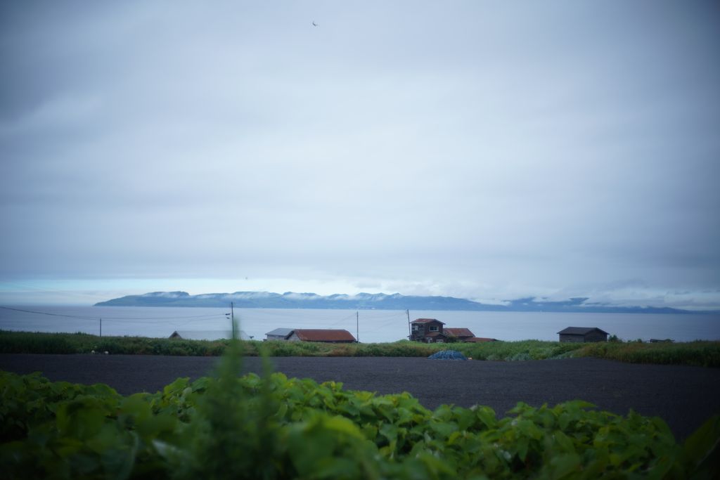 DSC08120.JPG