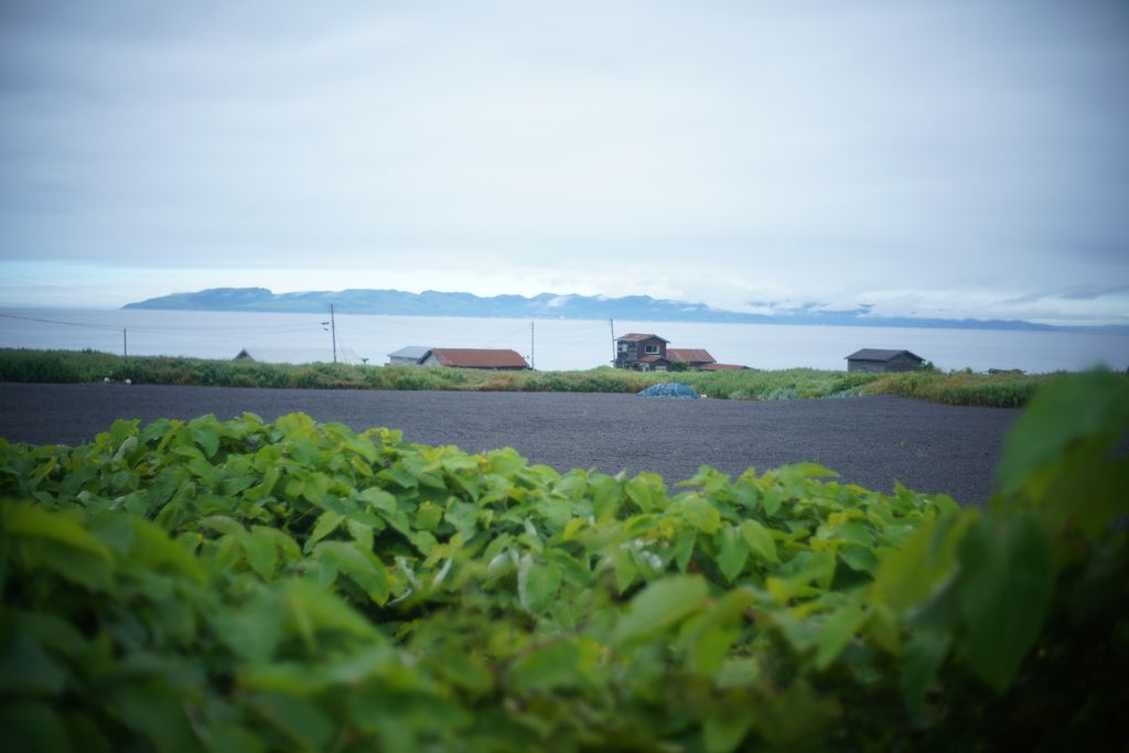DSC08122.JPG