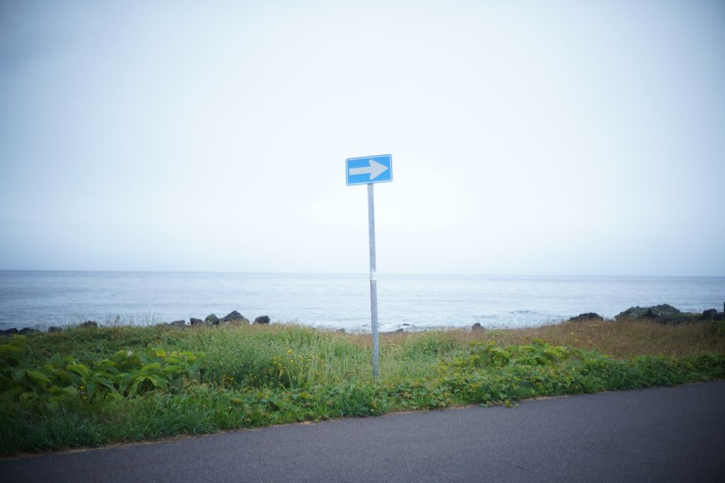 DSC08133.JPG
